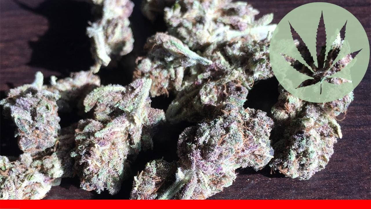 Purple Voodoo - All About This Strain
