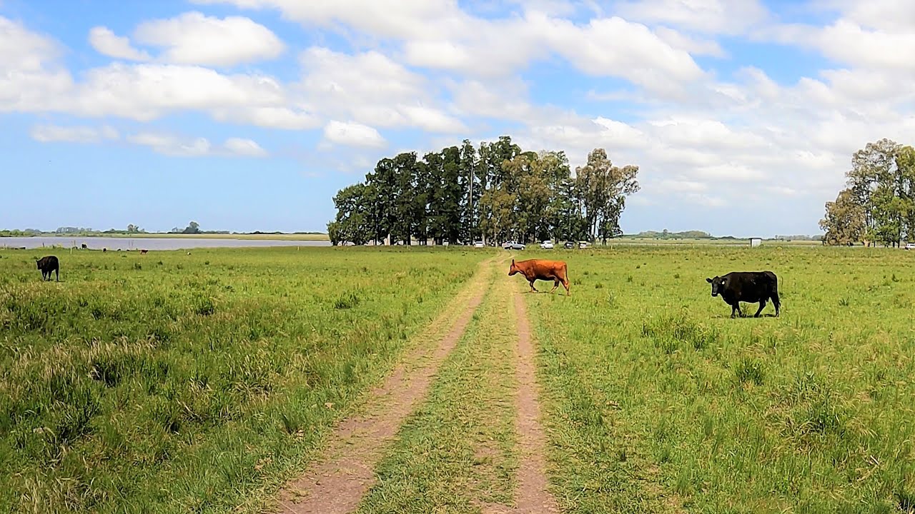 【4K】Es un hermoso lugar a unos 100 KM de Buenos Aires LAGUNA DE BAVIO #Driving TOUR 2021 - ARGENTINA