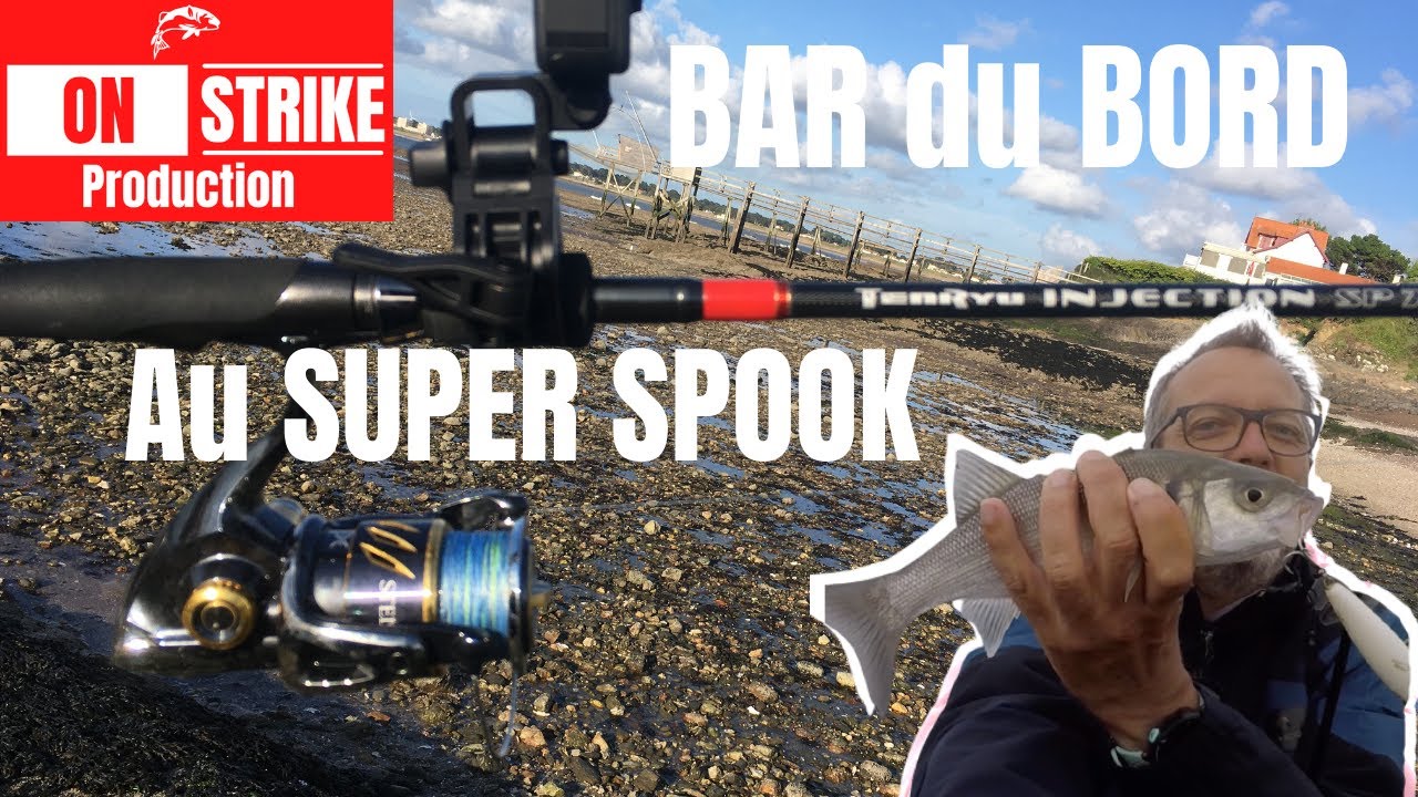 PÊCHE du BAR du BORD au LEURRE de SURFACE Super Spook - Juin 2020 - La Plaine Sur Mer - Bretagne Sud