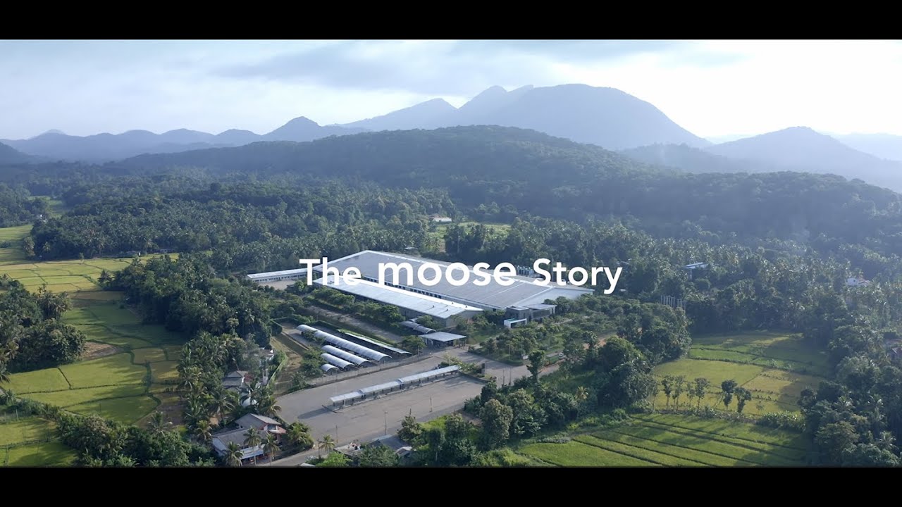 The Moose Story