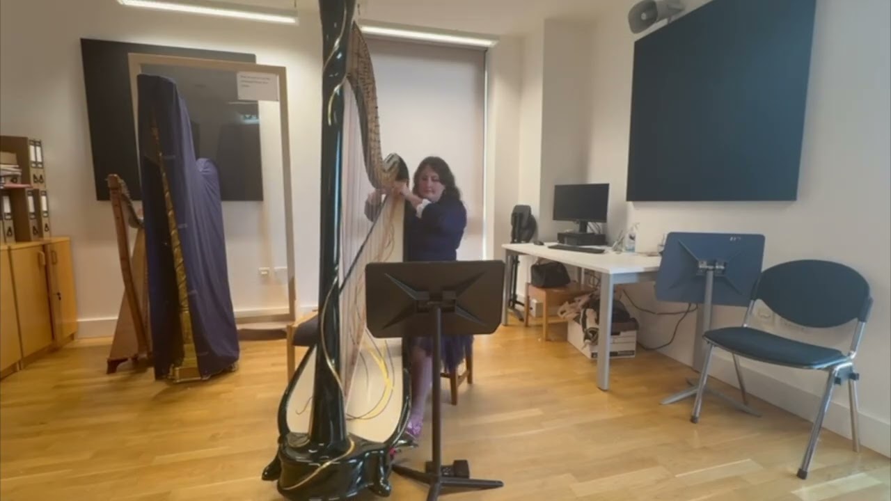 The Persistence of Memory by Xu Zheng, performed by Rosanna Moore. PoppyHarp Composers Project 2025