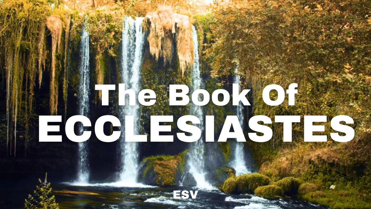 Fall Asleep to Scriptures on Wisdom | The Book of Ecclesiastes ESV