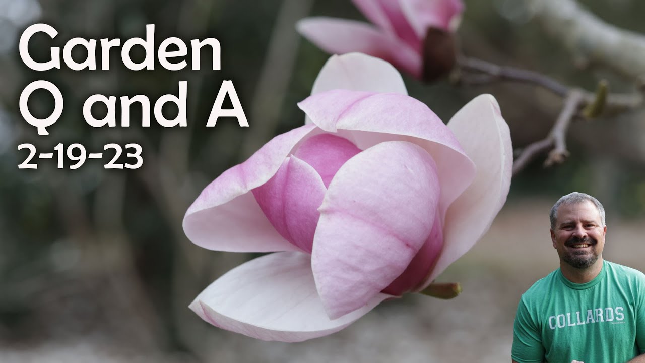 Great Garden Questions Answered - Soil Testing, Street Trees, Top Public Gardens, Organic Fertilizer