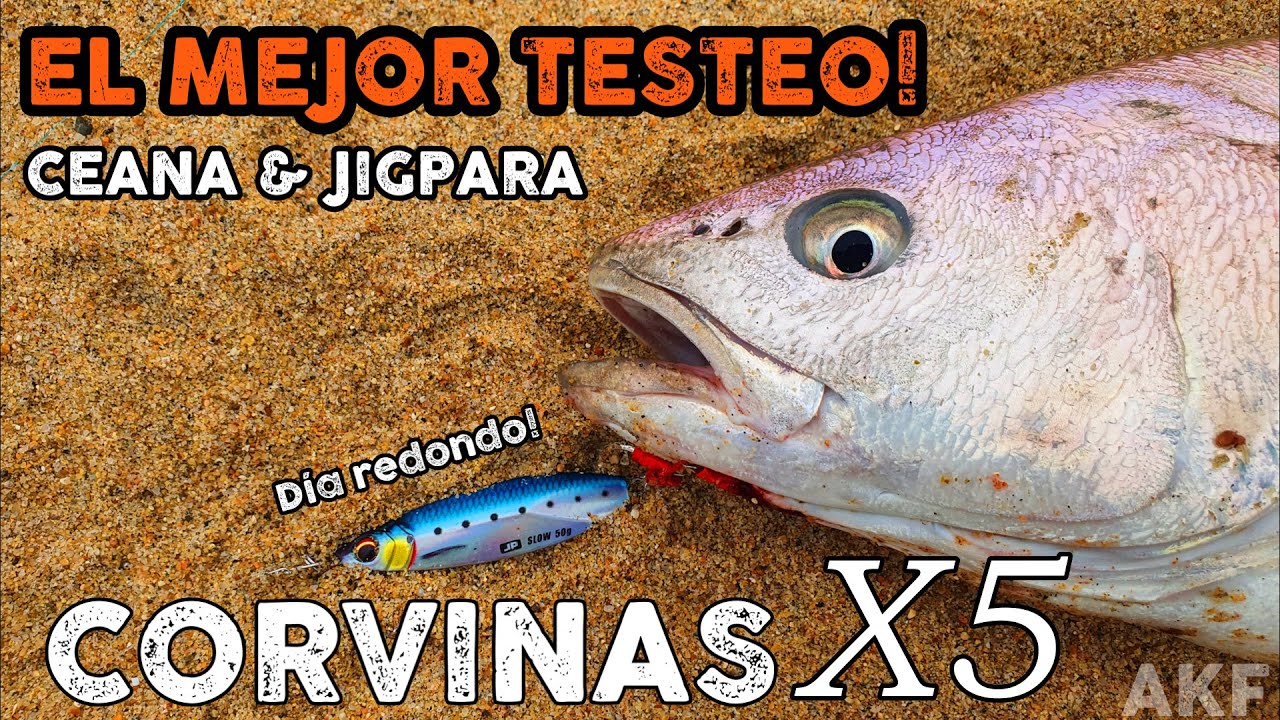 Testeo el CEANA 4000 con 5 CORVINAS !! Yo solo fui a ver como giraba | Pesca en Chile.