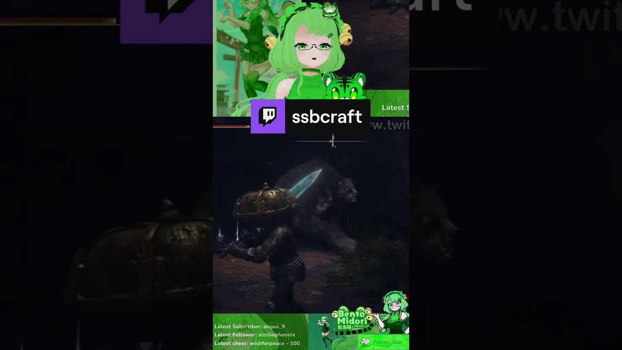 Lillyku chasing Bento | ssbcraft on 