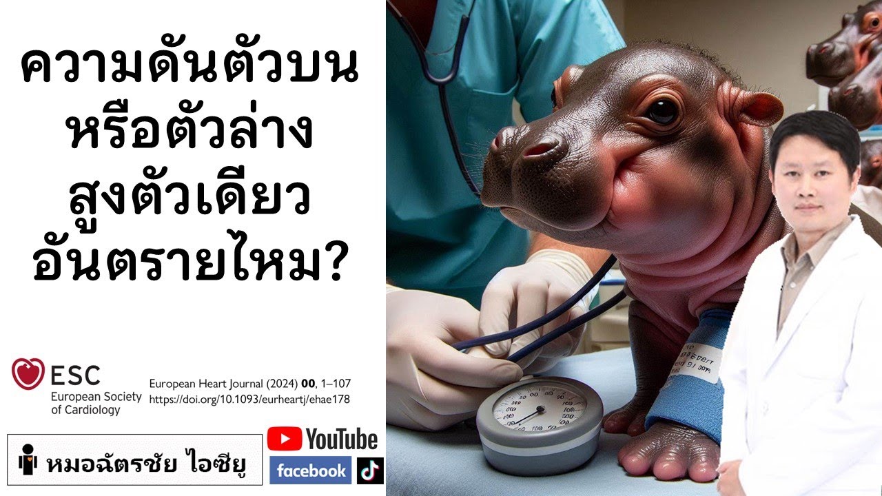 ความดันตัวบนเกิน 140 สูงตัวเดียว แต่ตัวล่างปกติ คืออะไร สำคัญไหม #ความดันตัวบนสูง #ความดันตัวล่างสูง