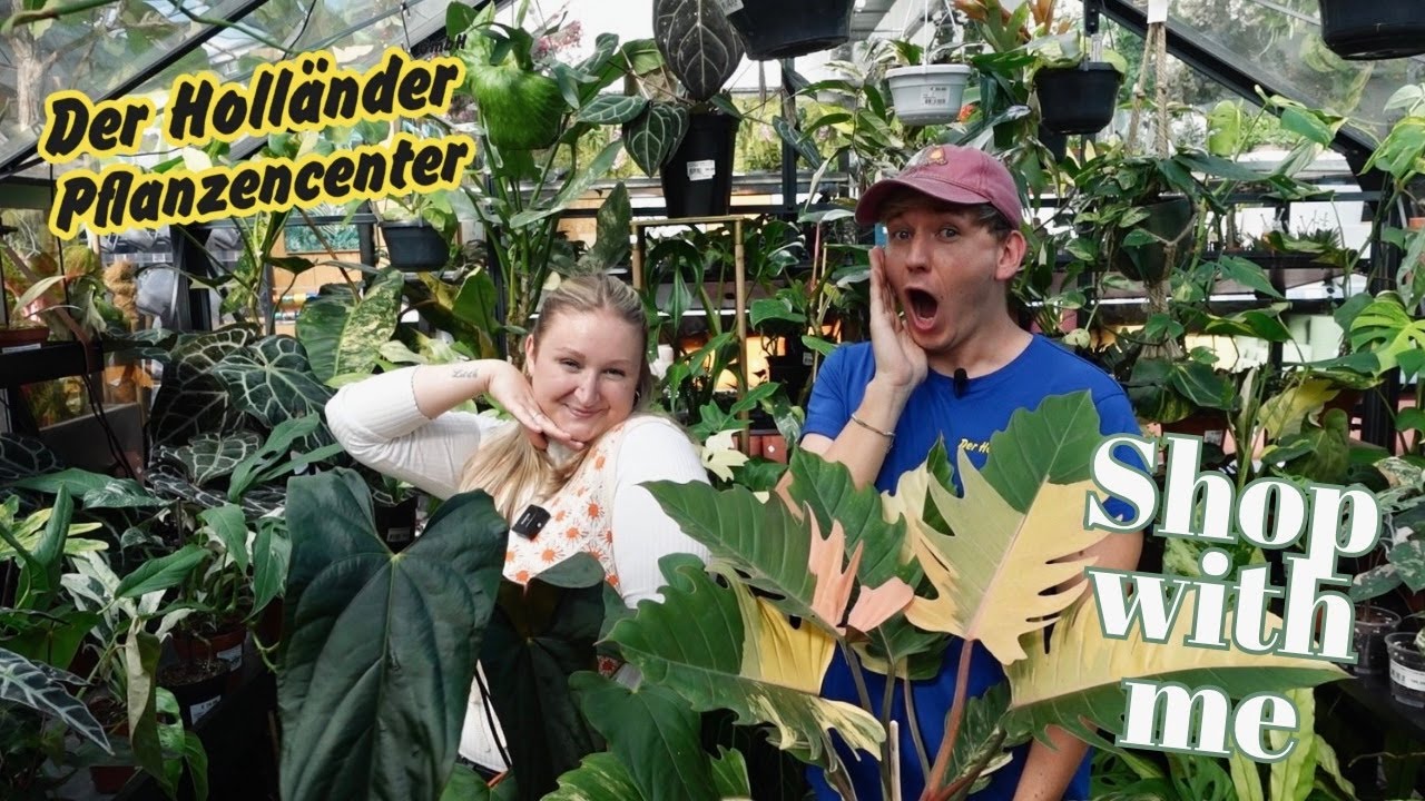 PFLANZEN Shop with me bei DER HOLLÄNDER mit CRAZYPLANTBOY!