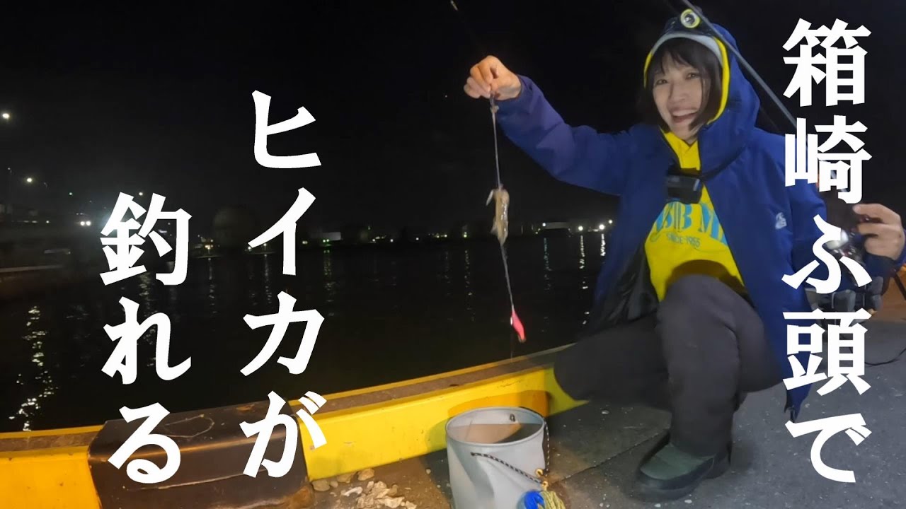 箱崎ふ頭でヒイカが釣れる【好きっちゃ釣行記】
