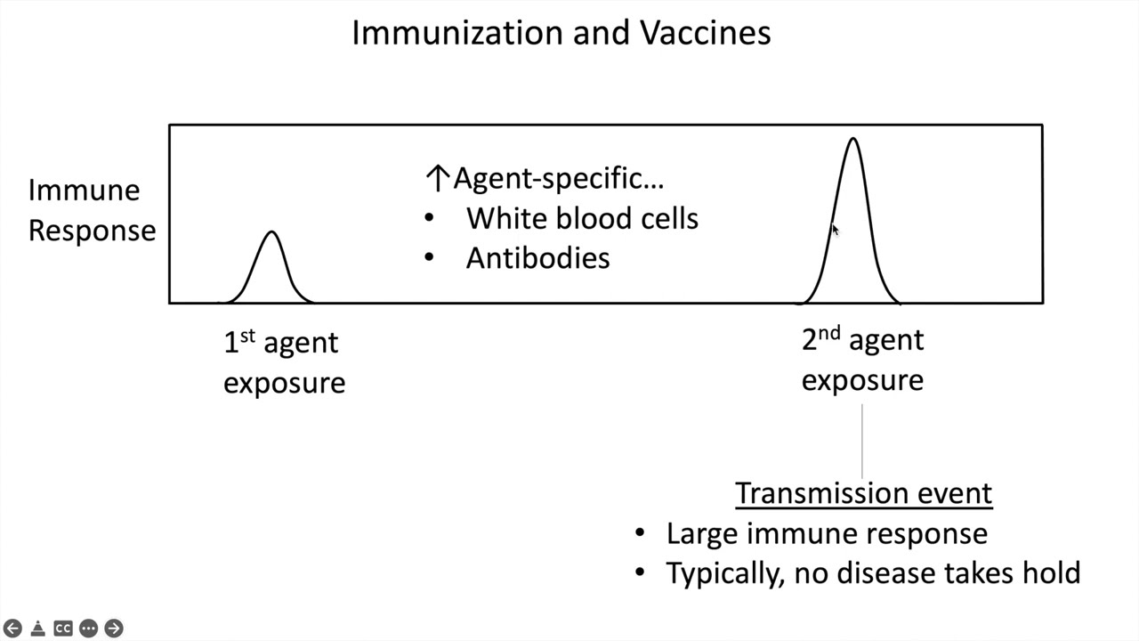 Vaccine Efficacy, Effectiveness and Coverage