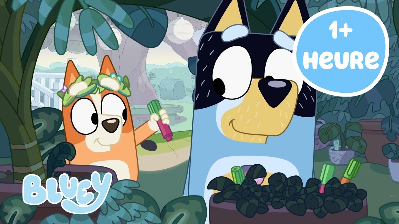 🔴VIVRE: Des vibrations douillettes avec Bluey | Bluey