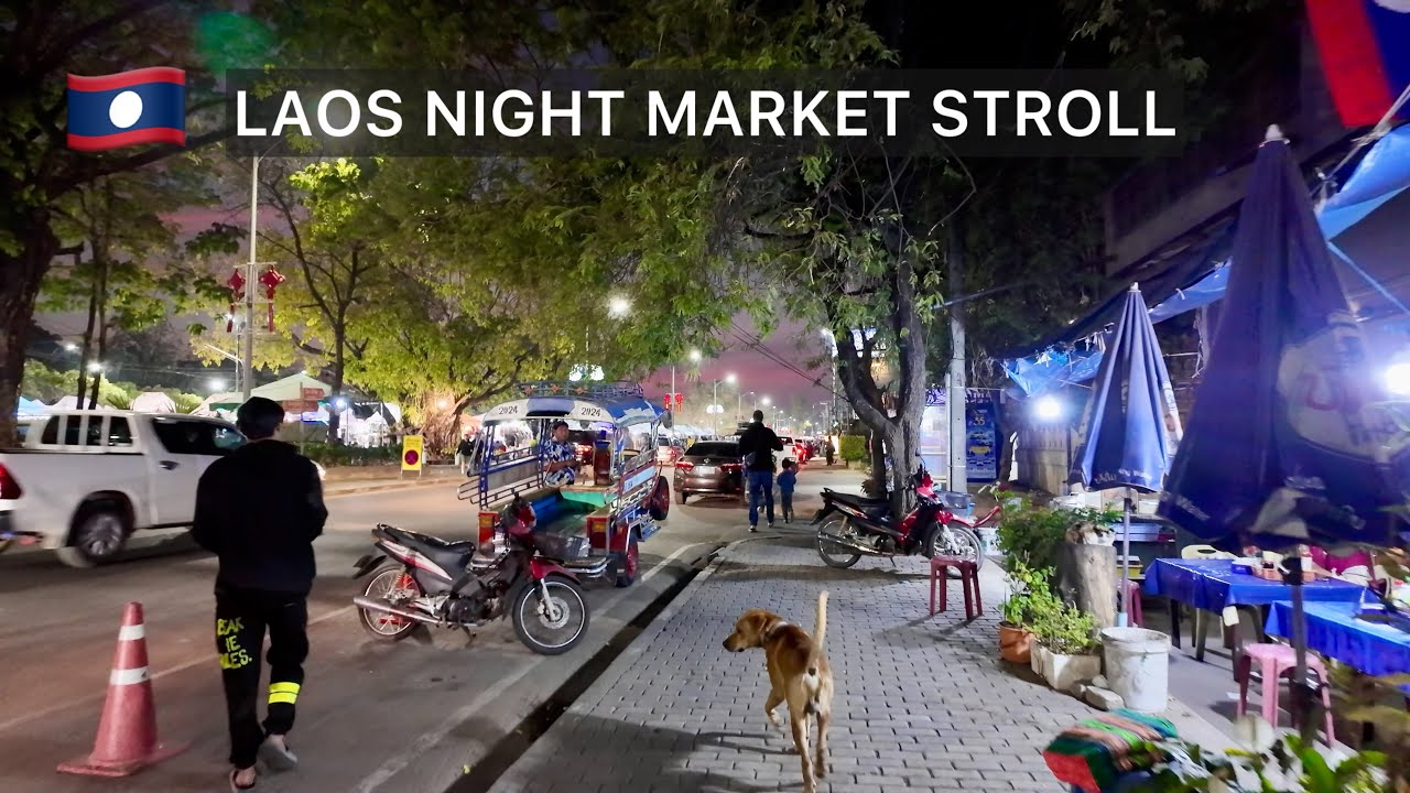 Laos Night Market Stroll With “Deng” The Celebrity Dog 🐕 🇱🇦
