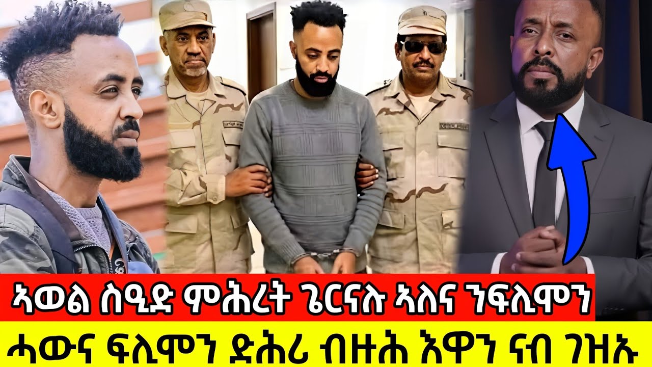 ኣወል ስዒድ ምሕረት ጌርናሉ አለና ንፍሊሞን/ ሓውና ፍሊሞን ድሕሪ ብዙሕ እዋን