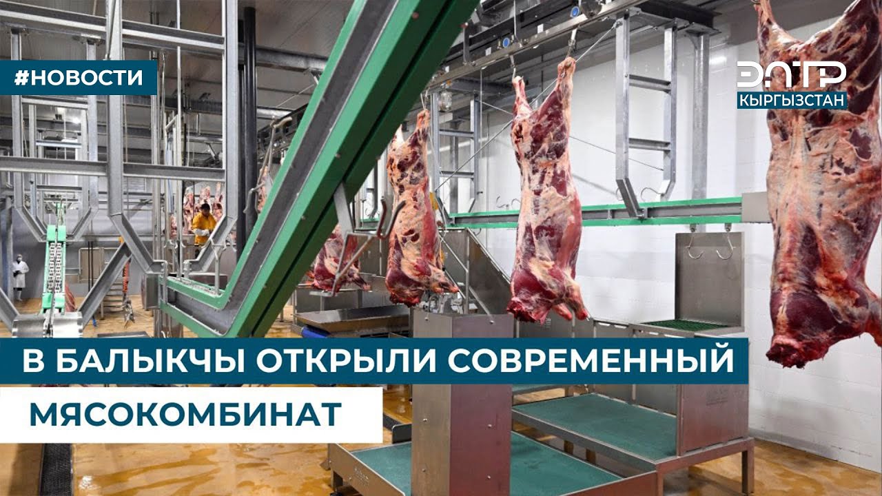 В БАЛЫКЧЫ ОТКРЫЛИ СОВРЕМЕННЫЙ МЯСОКОМБИНАТ