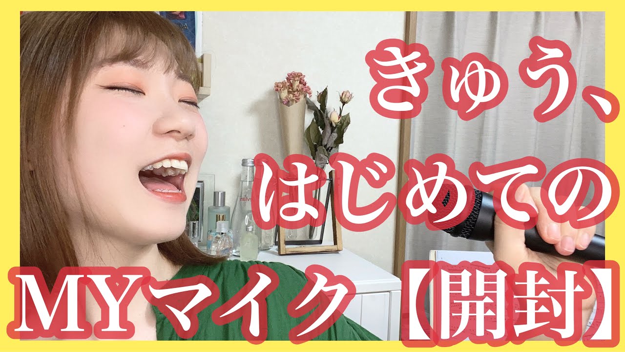 レビュー】コスパ最強マイク『SONY ECM-PCV80U』を開封！！！きゅう、はじめての&rdquo;myマイク&rdquo;🥕🥕