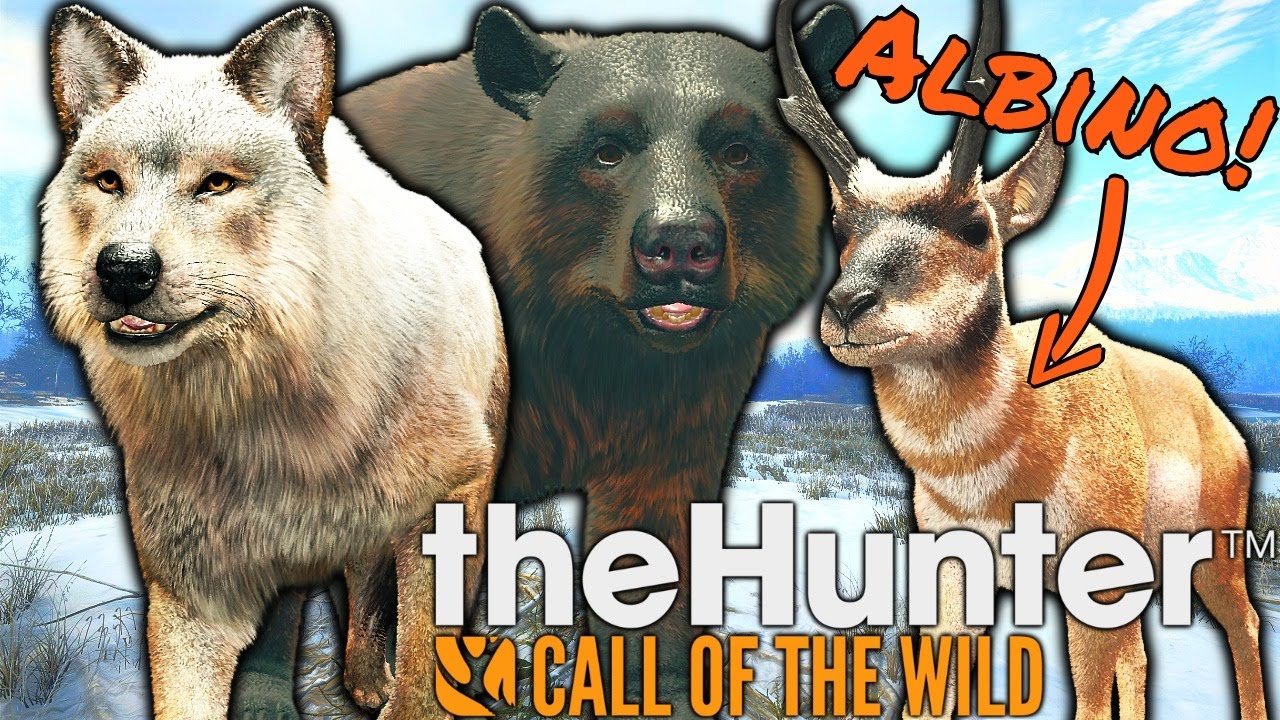 Are These Rare Animals?? | theHunter: Call of the Wild