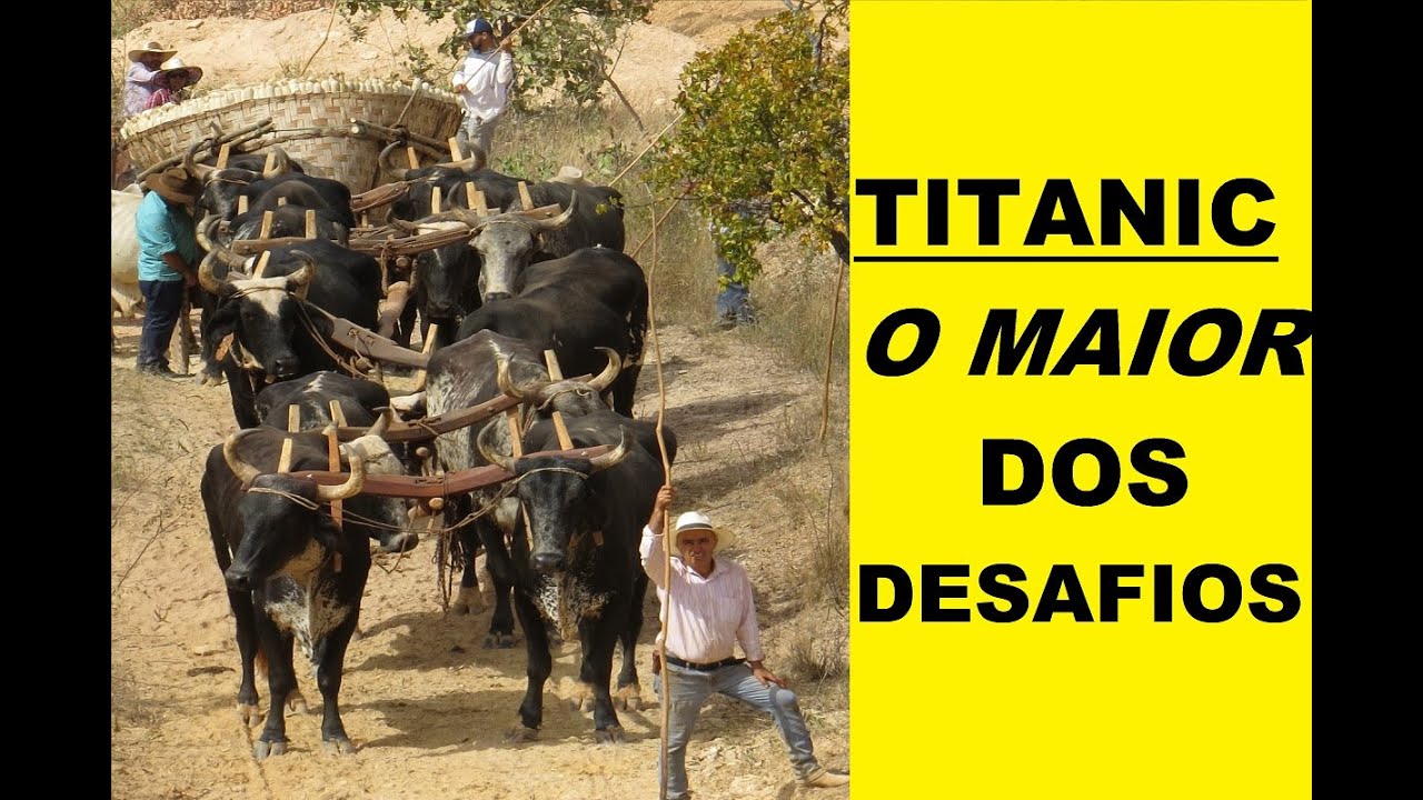 Valquir Gurgel com seu carro de boi TITANIC com 65 balaios – [O GRANDE DESAFIO]