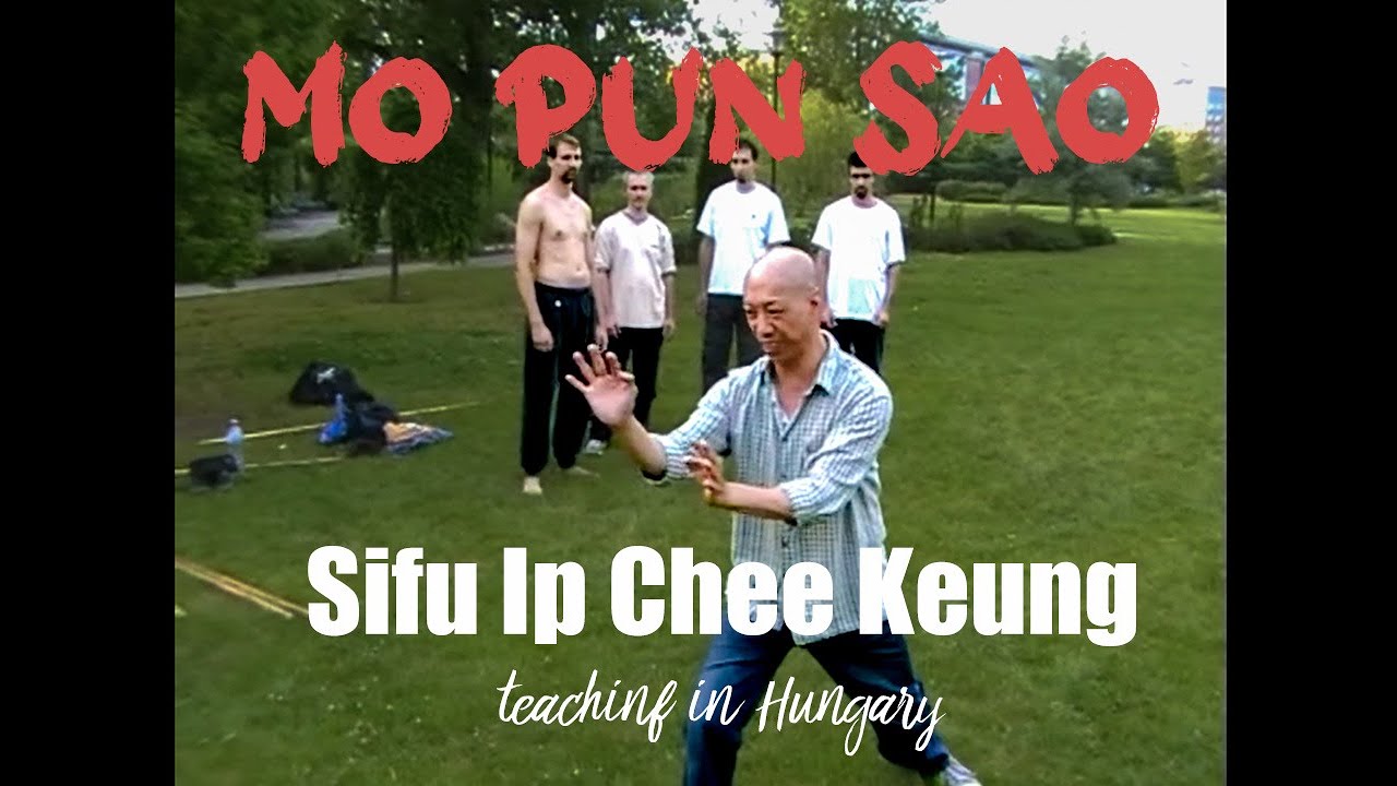 Rare Footage: Sifu Ip Chee Keung Demonstrates Mo Pun Sao Form (Hungary, 2009)