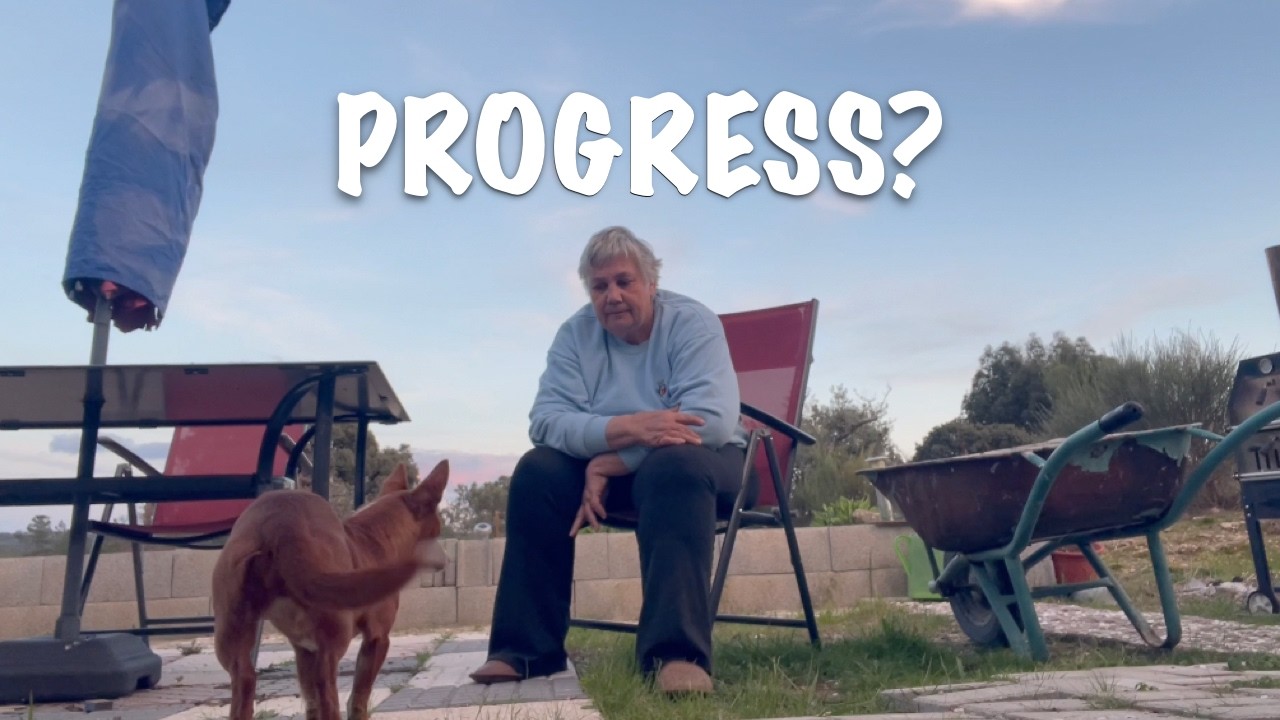IS THIS PROGRESS? / LIFE IN PORTUGAL