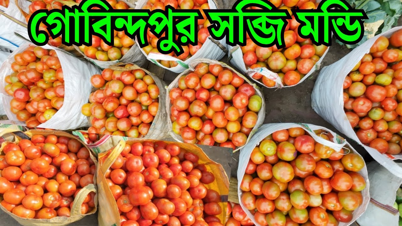 গোবিন্দপুর সবজি মান্ডিতে সবজির দাম | Gobindopur Sabji Mandi | Wholesale Vegetable Market in Kolkata