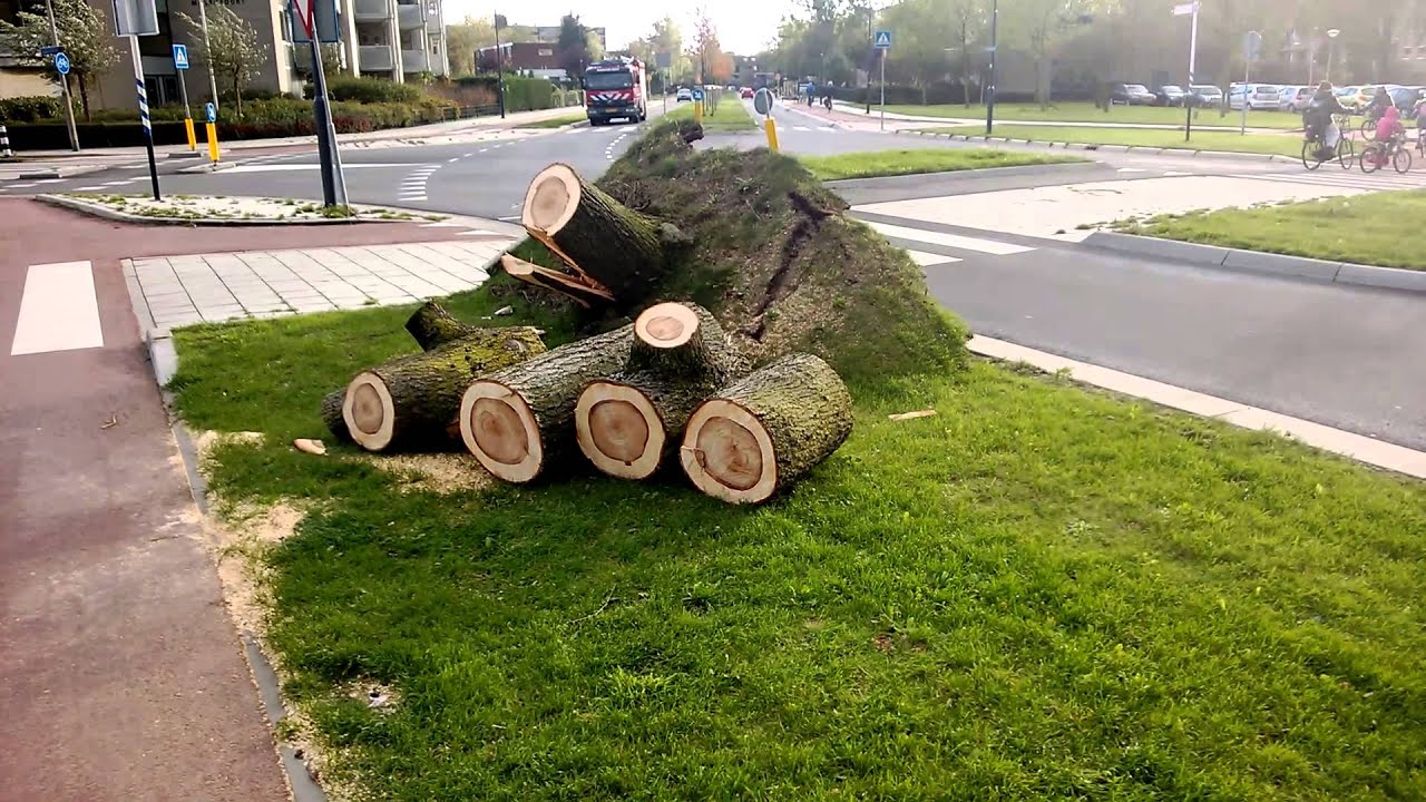 Stormschade 28 oktober