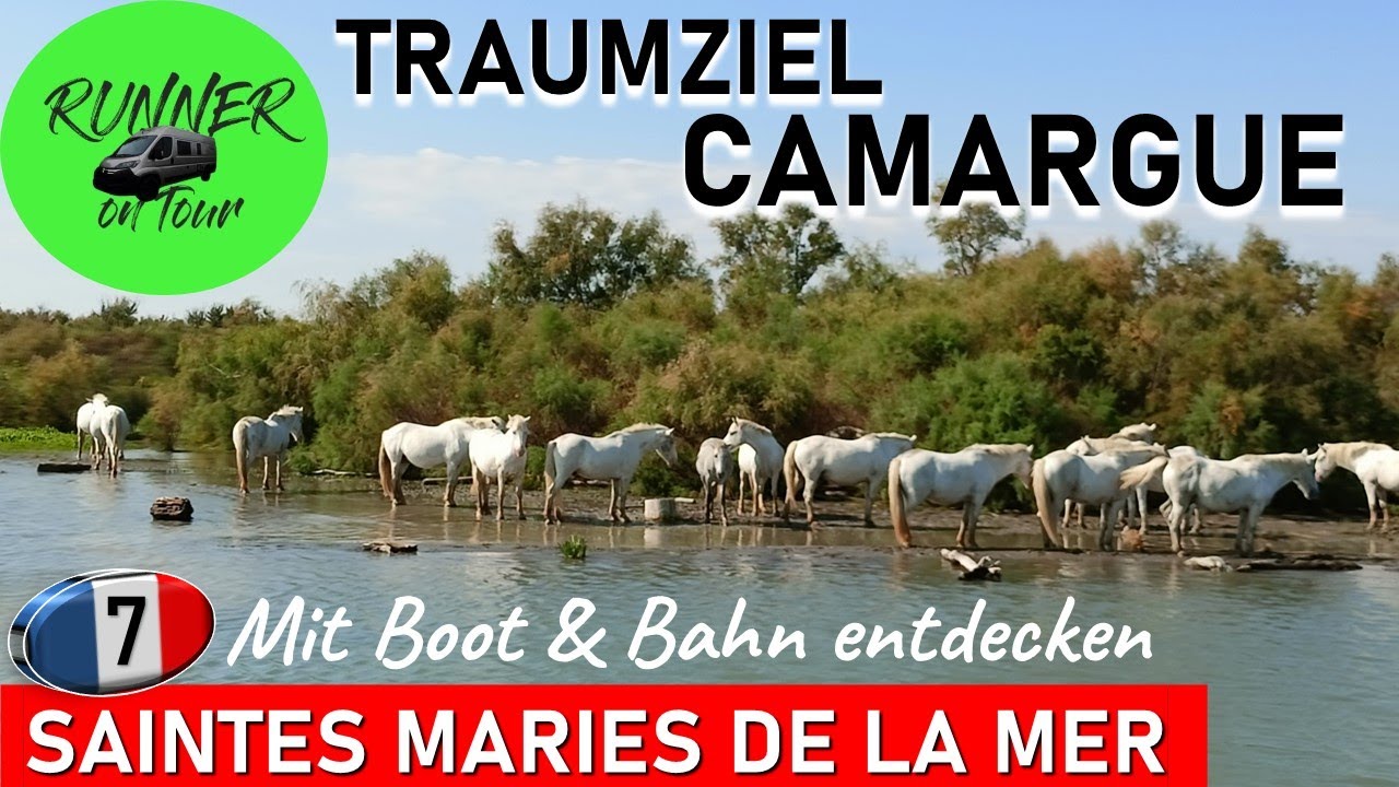 DIE CAMARGUE ENTDECKEN MIT BOOT & BAHN | SAINTES-MARIES-DE-LA-MER | FRANKREICH MIT DEM WOHNMOBIL
