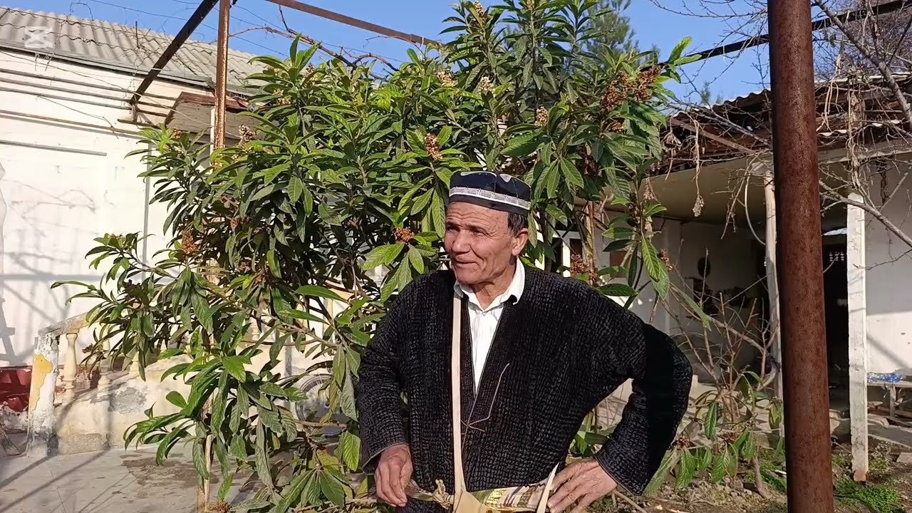 БАХОРГИ УЛАМАЛАР ВА УГИТЛАШ