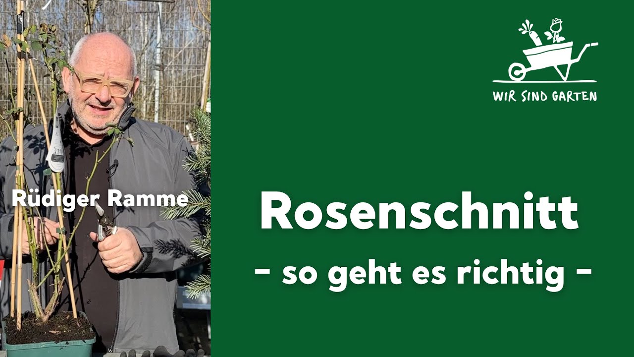 Der richtige Rosenschnitt - mit Rüdiger Ramme