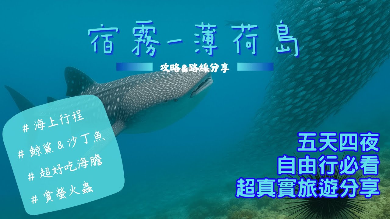 『2025 宿霧薄荷島 Day2 & 3』Oslob鯨鯊 I Bohol沙丁魚風暴Ｉ巴里卡薩島Ｉ海膽Ｉ螢火蟲