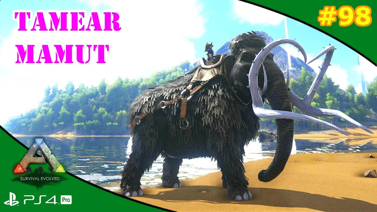 TAMEAR MAMUT | ARK [#98] | Servidor Oficial PVE