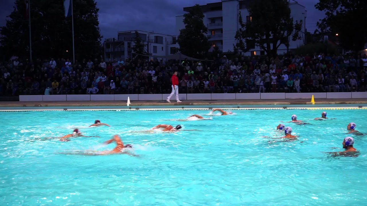 Horgens Wasserballer sind zum 30. Mal Schweizer Meister