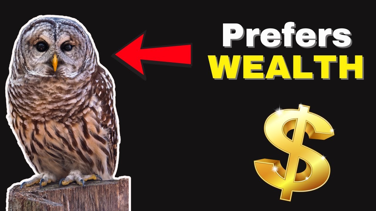 Owls: 6 exciting NEW facts based on science