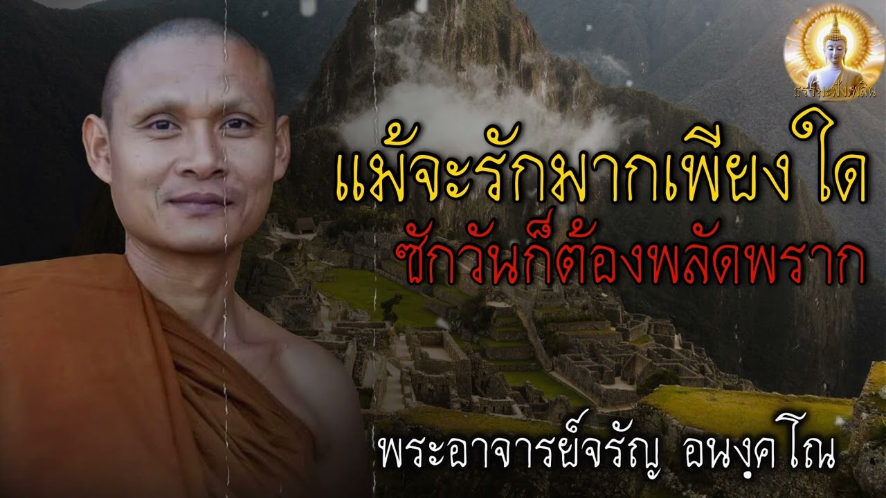 แม้จะรักมากเพียงใด ซักวันก็ต้องพลัดพราก 🙏 #ธรรมะ #คำสอน #ธรรมะสอนใจ #ธรรมะฟังเพลิน #ชีวิต #ปล่อยวาง