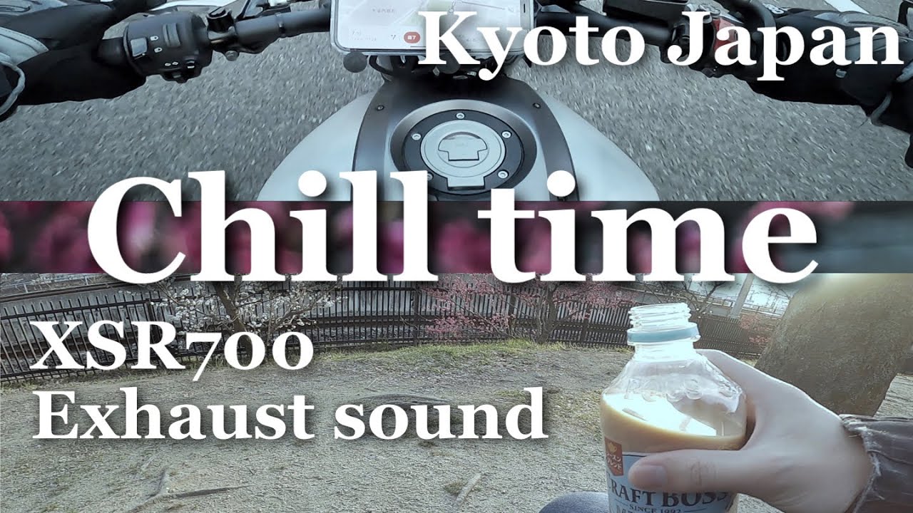 【MotoVlog】バイクで公園にchillしに行こうぜ。【XSR700】