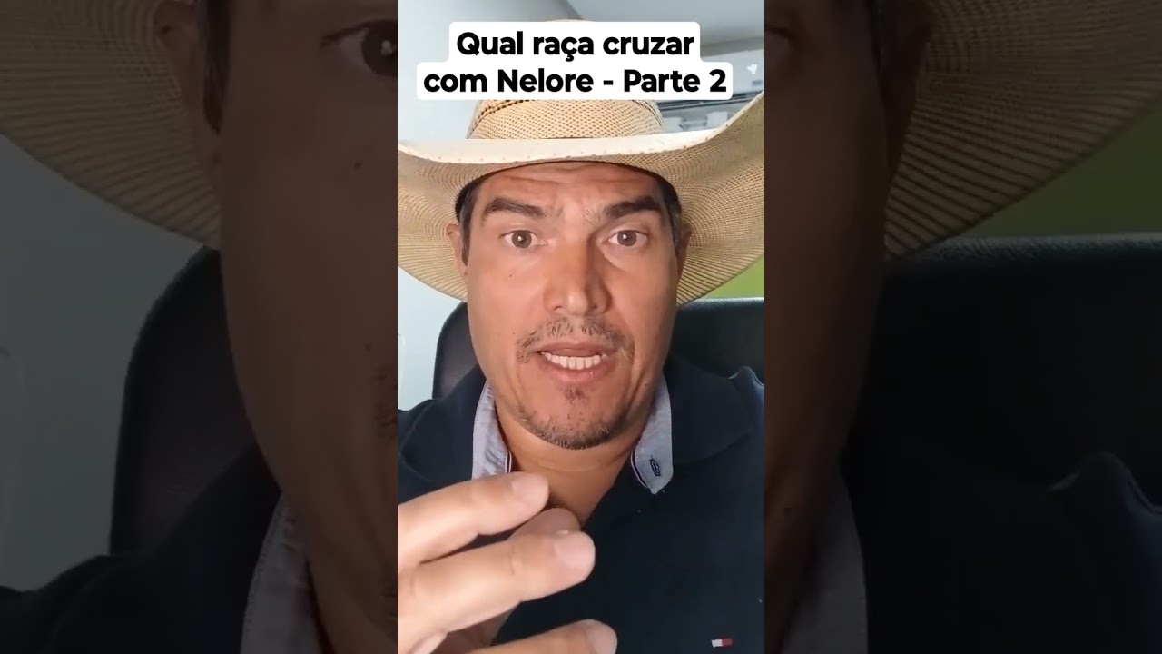 Qual raça cruzar com Nelore - Parte 2