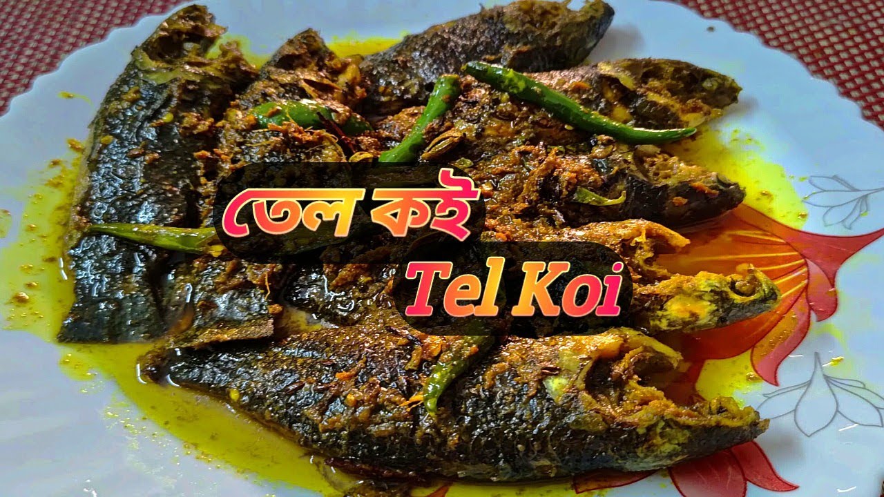 তেল কই || Tel Koi