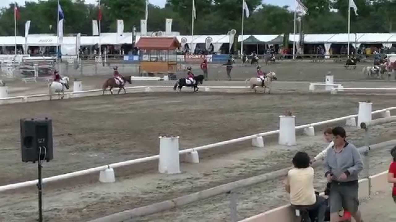 Lamotte-Beuvron 2014 - CCE A1 - Les championnes de France