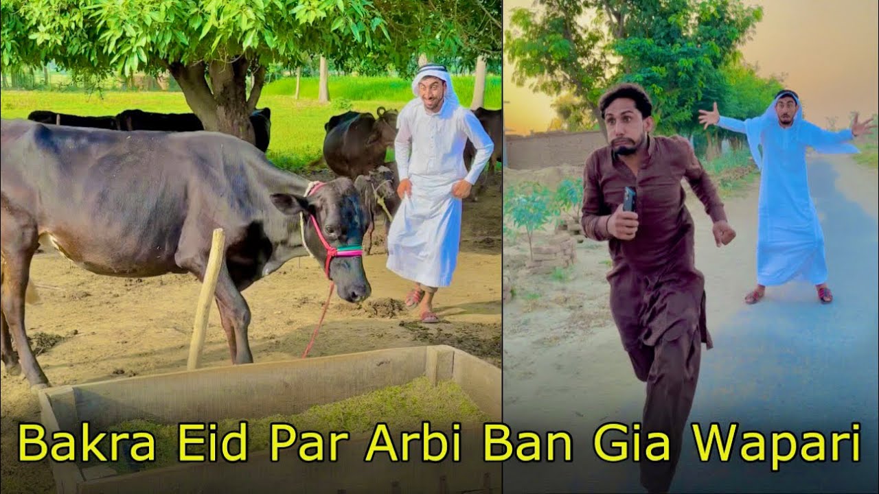 Bakra Eid Par Arbi Ban Gia Wapari