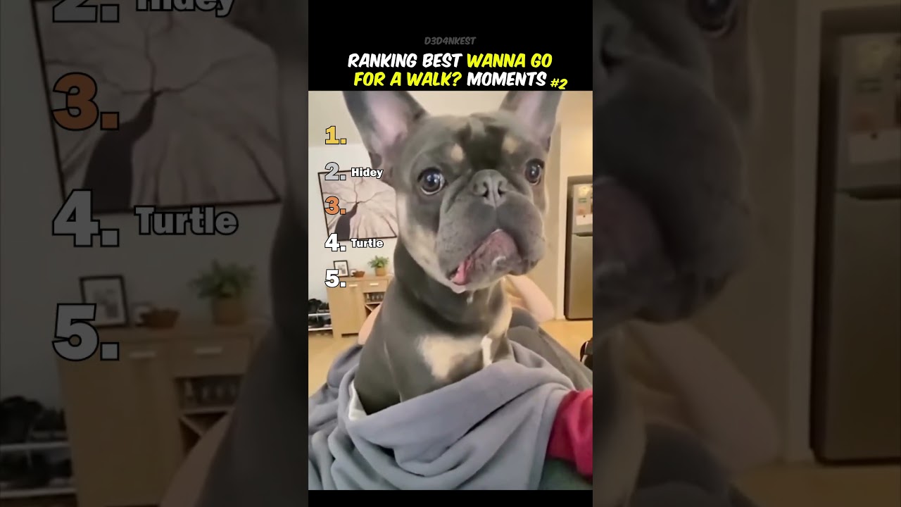 Ranking Best Wanna Go For A Walk Moments 2