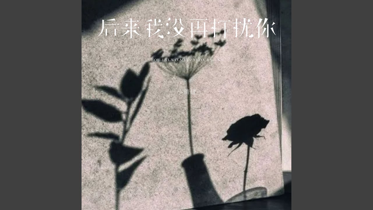 后来我没再打扰你