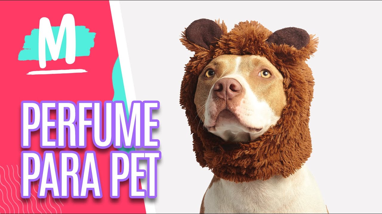 DIY: Perfume para PET - Mulheres (08/10/20)