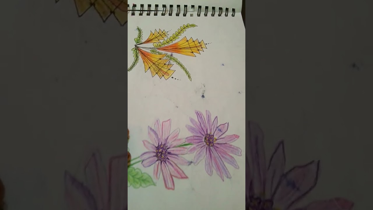 sketchbook flipthrough #art #drawing #sketchtour  #sketchbook #pencildrawing #sketch #flipthrough