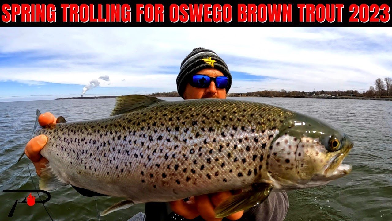 Spring Trolling For Oswego New York Brown Trout