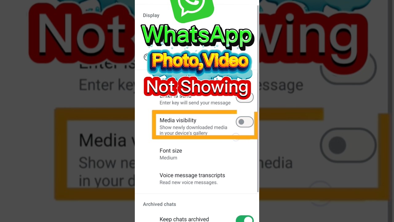 Whatsapp Photo Save In Gallery | Whatsapp images and videos not showing in gallery problem solve