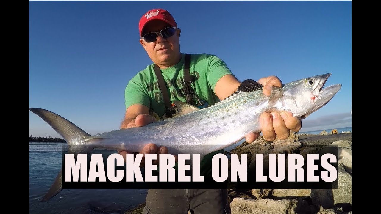 Jetty Fishing For Spanish Mackerel With Lures