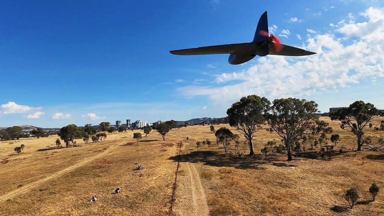 HeeWing T-1 Ranger - Formation FPV with Dolphin and Chupito