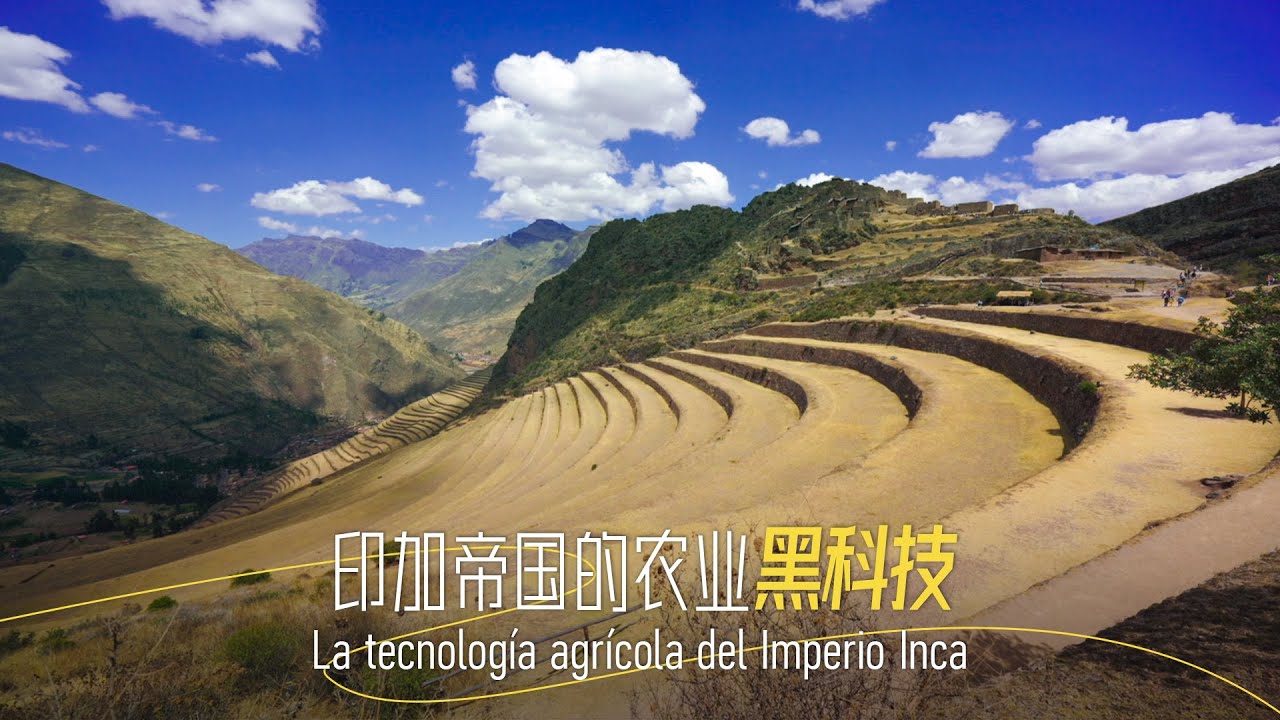 The Inca Empire's agricultural science and technology