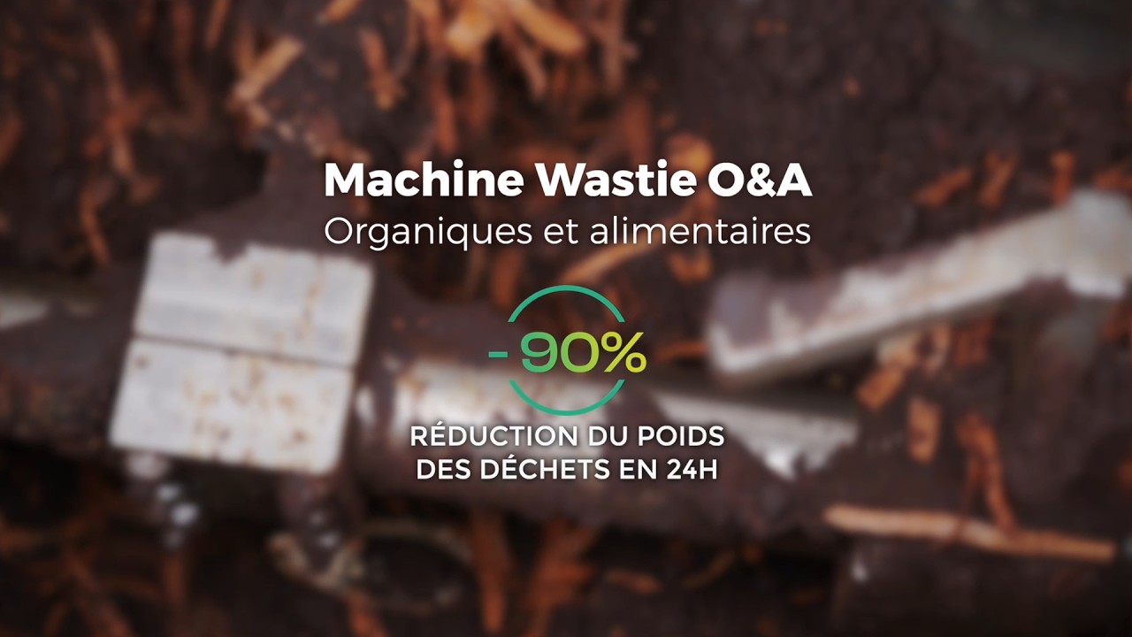 Wastie O&A : La solution innovante pour la gestion des déchets organiques - évole écocycle