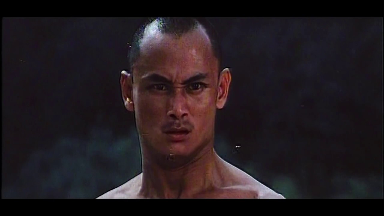 Kung Fu : technique de l'ivrogne (Shaolin combat)