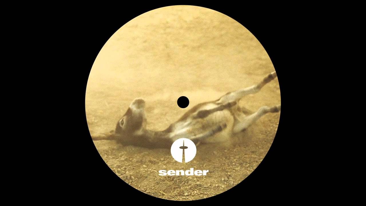 Carsten Jost - Uccelacci - Sender Records