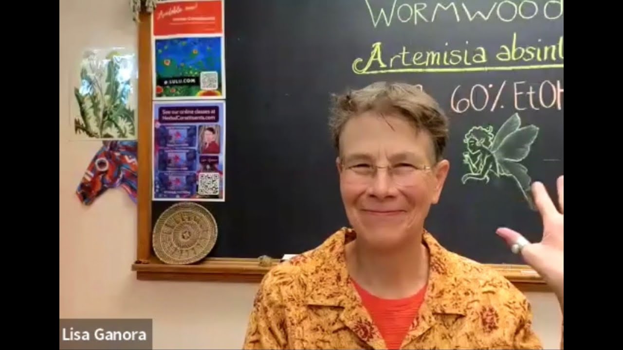 Listening to Plants: Phytochemistry, Herbal Medicine & Plant Intelligence with Lisa Ganora